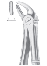 Fig. 4 upper incisors & canines