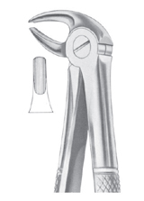 Fig. 13 lower premolars