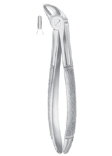 Fig. 38 lower incisors & canines for children