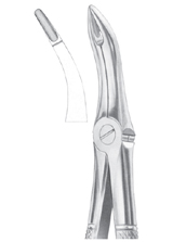 Fig. 48 lower roots