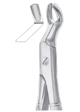 Fig. 67 upper third molars