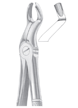 Fig. 67 ½L upper third molars left