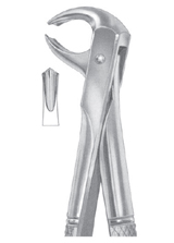 Fig. 73S lower molars