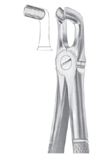 Fig. 79A lower third molars