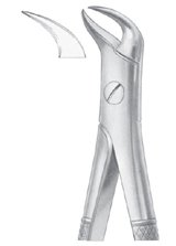 Fig. 87 lower molars