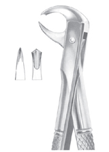 Fig. 99 1/4 lower molars