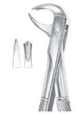 Fig. 99 ½ lower molars