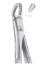 Fig. 102 upper molars right
