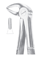 MEAD (MD 2) upper molars