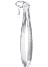 HERTZ (Fig. 211) lower incisors