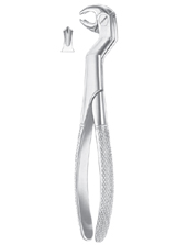 ROUTURIER (Fig. 212) ( 22 ½ L ) lower molars and wisdom left