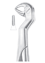 ROUTURIER (Fig. 214) ( 22 ½ L) lower molars and wisdom left