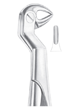 ROUTURIER (Fig. 215) ( 33 ½ R) lower molars and wisdom right