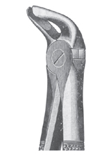 Fig. 12