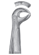 Fig. 75R