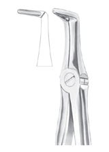 Fig. 45 lower roots