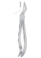 Fig. 51L upper roots