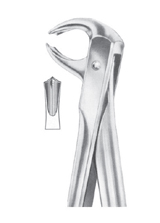 Fig. 73 lower molars