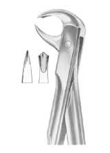 Fig. 99 1/4 lower molars