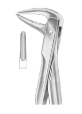 Fig. 143 lower roots