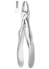 KLEIN (Fig. 217) upper incisors