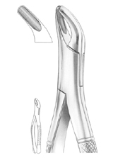 Fig. 8 upper and lower third molars