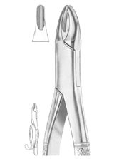 Fig. 13 upper incisors