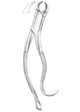 Fig. 16 lower molars