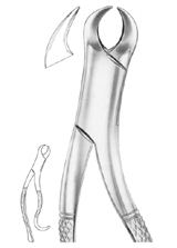 Fig. 16S lower molars for children1236 Fig. 16S lower molars for children