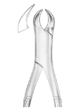 Fig. 23 lower molars