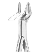 PARMLY Fig. 32A upper premolars and roots
