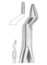 Fig. 35 upper roots