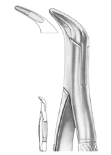Fig. 36 lower anteriors and roots