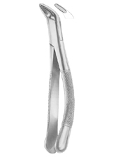 CRYER Fig. 151 lower incisors, premolars, roots