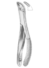 Fig. 370/151SK lower anteriors and roots