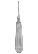 IS-APICAL EL