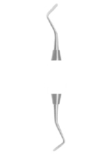 FREEDMAN Fig. 2 CS