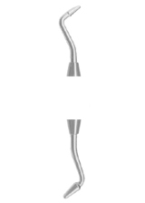 FREEDMAN Fig. 3  CS