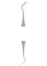 Fig. 3 CS