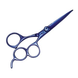 Hair cutting Scissors
