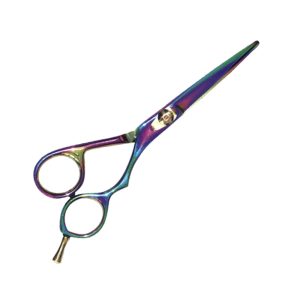 Hair cutting Scissors